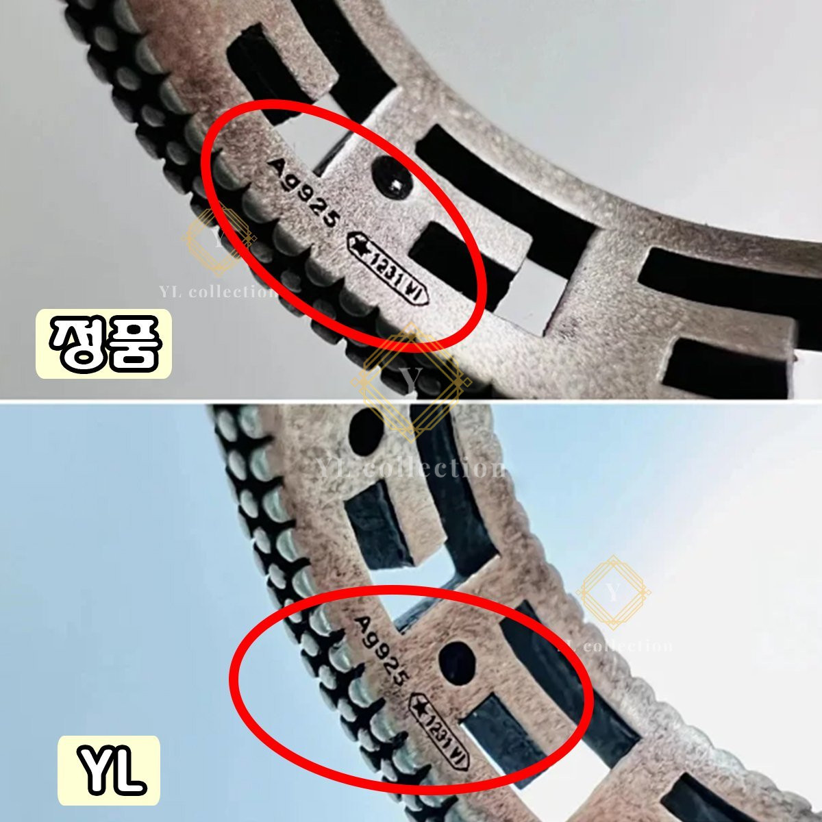 explan_3363_11.jpg