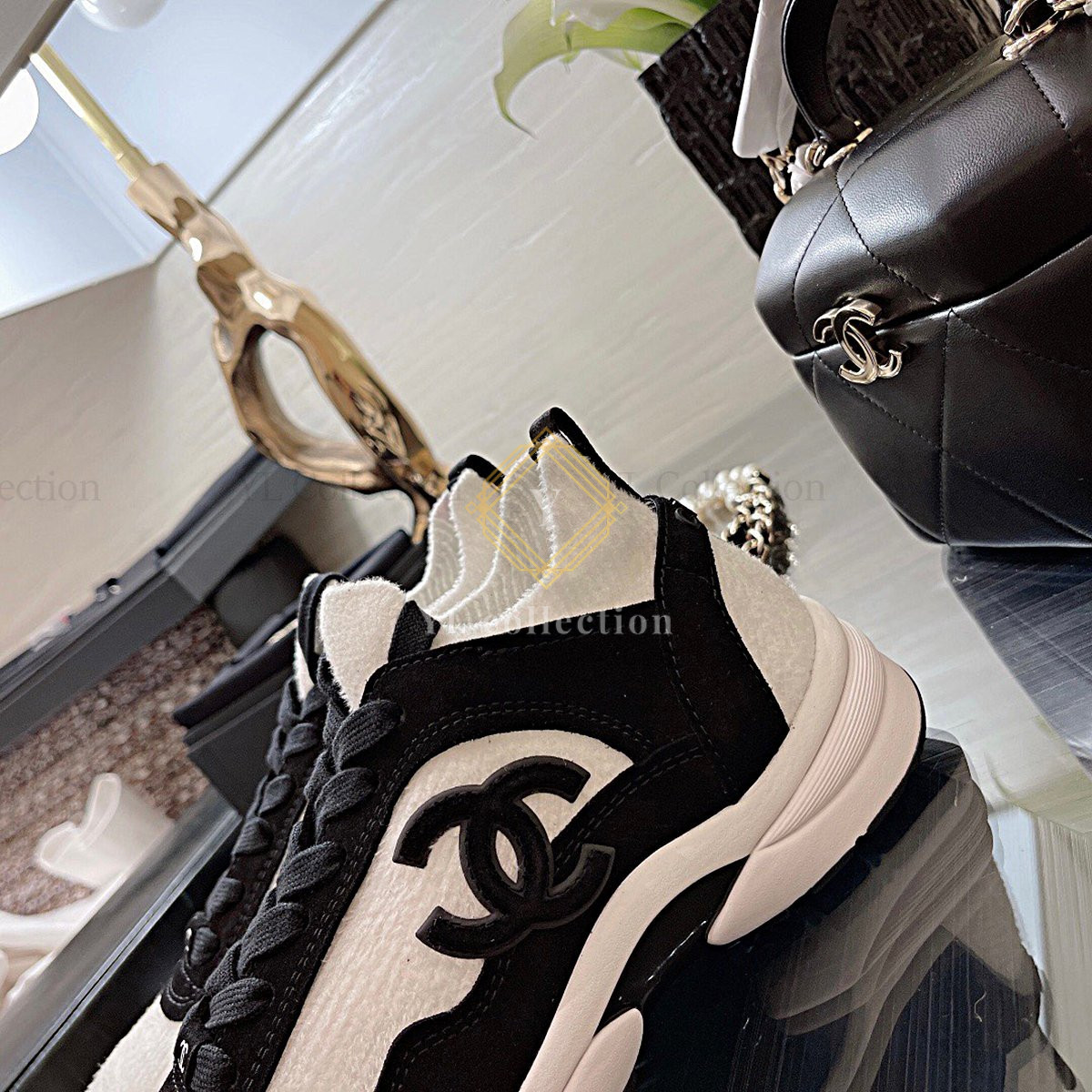 explan_523_11.jpg